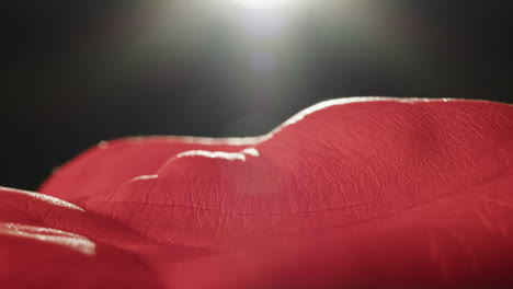 close-up view of red fabric texture