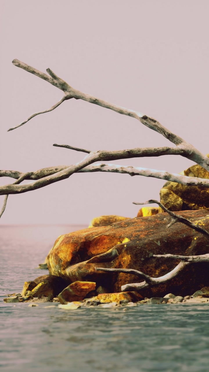 Branches extend over calm water next to large rock formations