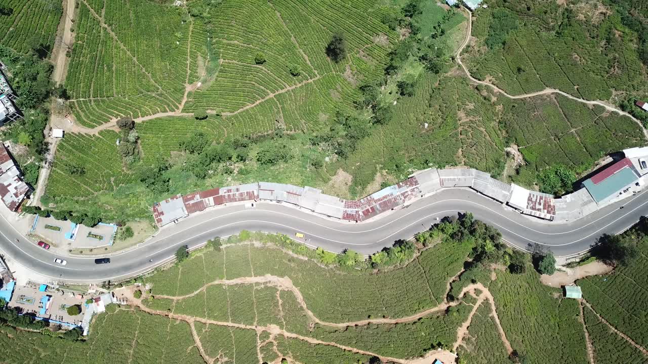 Aerial View of Tea Plantation and Road in Sri Lanka