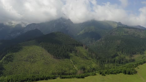 deforestation view over cloudy sky in the high tatras mountain surrounded by green trees in slovakia - aerial shot