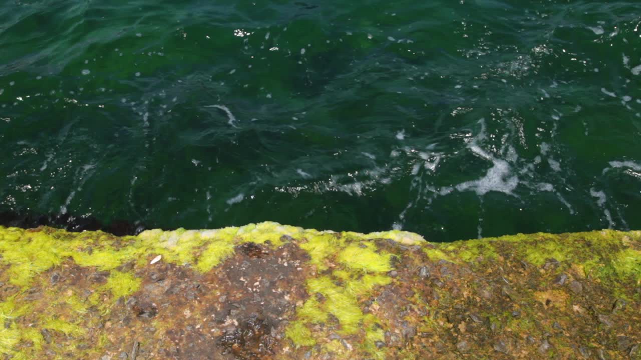 rastro de olas en el mar 1