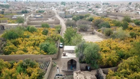 mercado de agricultores de irán en un edificio de ladrillo de arcilla casas del desierto en ardakan aqda sarv vida del pueblo en el centro de la ciudad temporada de cosecha de granada frutas frescas coloridas de otoño caen hojas de árboles en el huerto del jardín