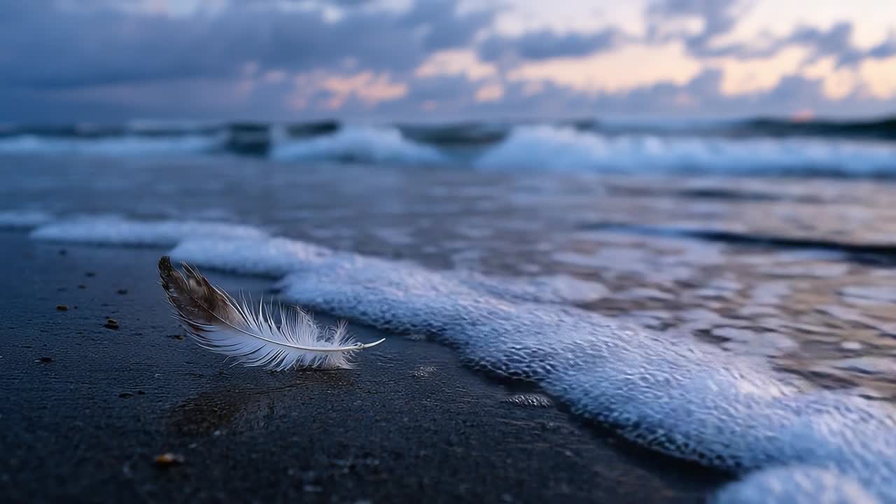 Fjer på stranden ved solnedgang, mens bølgerne blidt ruller ind