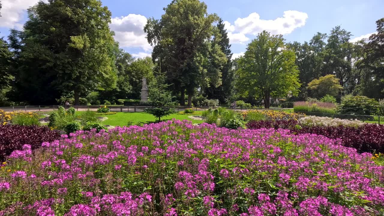 Slow daytime pan reveals vibrant fireweed flowers and lush greenery in a sunlit Berlin park