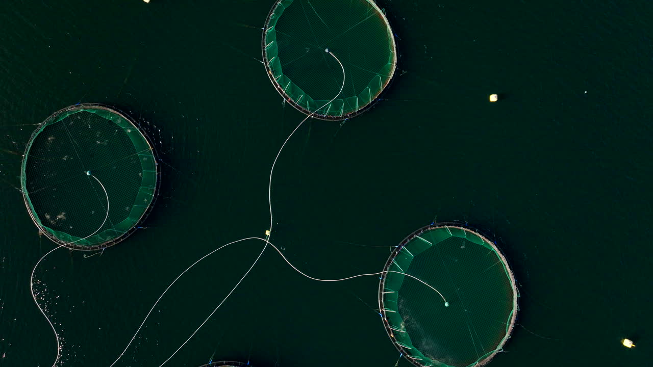 desde arriba hacia abajo sobre la granja acuática de salmón con estanques marinos abastecidos en un fiordo noruego