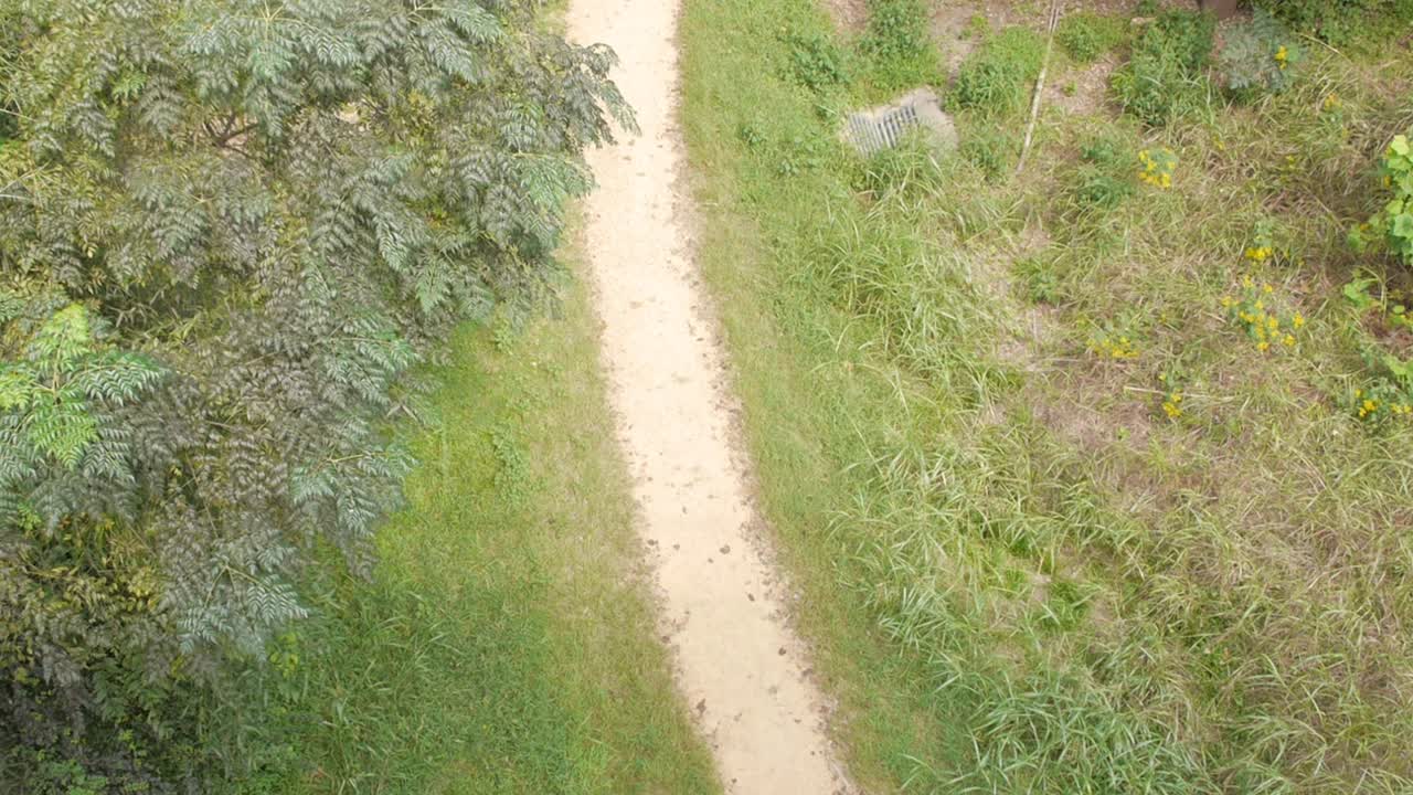 A dirt footpath winding through the woods.  High angle.
