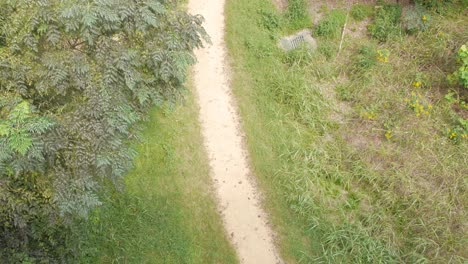 a dirt footpath winding through the woods.  high angle.
