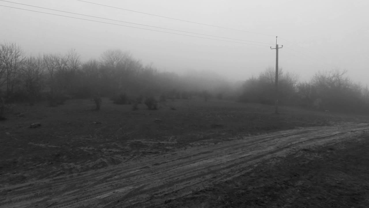 Misty Country Road