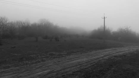 misty country road