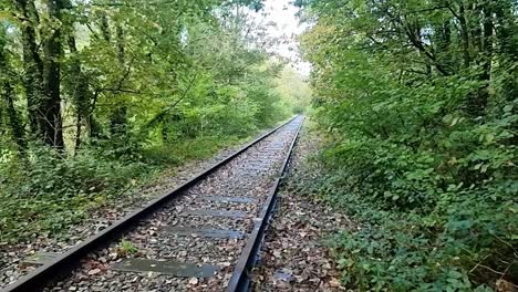 Eine-Stillgelegte-Eisenbahnstrecke,-Die-Nach-Dem-Bergbau-Aufgegeben-Wurde,-Verläuft-Durch-Einen-Dichten-Wald-Auf-Der-Insel-Anglesey,-Wales
