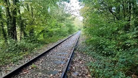 a disused railway track, which was abandoned after mining, runs through a dense forest on the isle of anglesey, wales