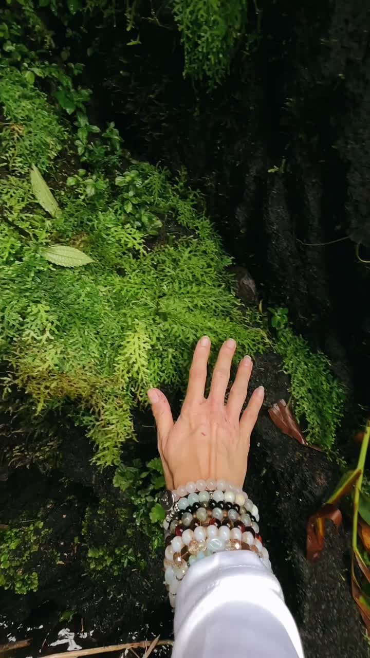 la mano hacia la naturaleza