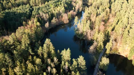 Ein-Wunderschöner-Blick-Auf-Den-See-Inmitten-Des-Waldes,-Mit-Einer-Holzbrücke-über-Den-See