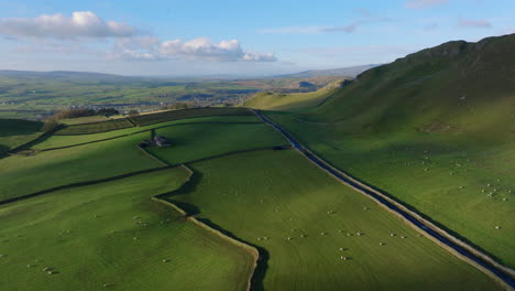 high establishing drone shot of fields of sheep in yorkshire dales uk