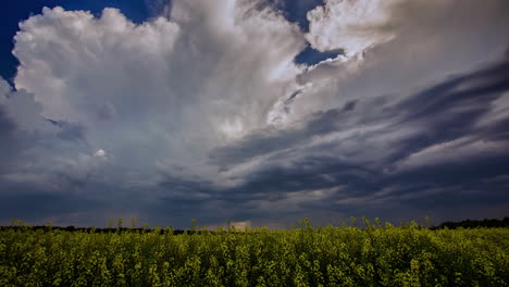 time lapse shot of mysterious emerging clouds at blue sky over yellow canola field