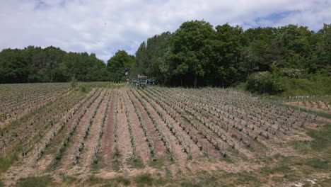 farming equipment fertilizing grape fields in france, aerial view