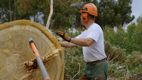 Lumberjack-standing-next-to-the-fallen-tree-4k