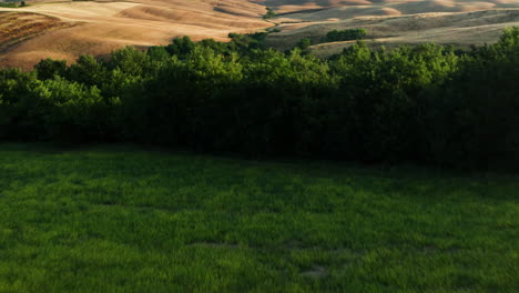 Campos-De-Toscana,-Tiro-Inclinado-Hacia-Adelante-Que-Revela-El-Campo