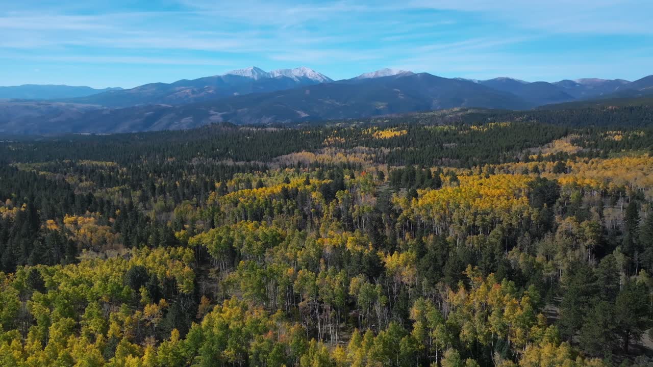 Sentiero del Colorado Salida Mt Monte Shavano Tabeguache Peak AWD strada sterrata campeggio autunno mattina cielo blu drone aereo Colorado drone aereo Alberi di pioppo tremulo foresta cerchio giallo arancione destra