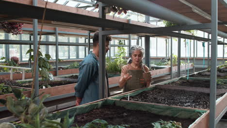 jardineros dentro de un invernadero