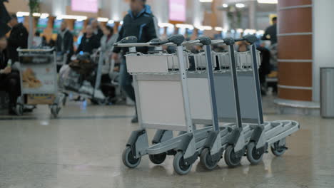 stationary luggage carts