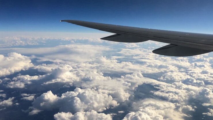 Flyvinge over Skyer
