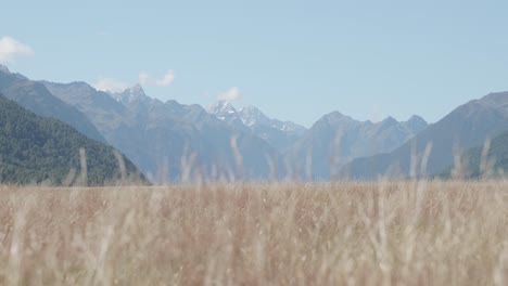 detail of ountain peaks in distance on a sunny day in eglinton valley, fiordland, new zealand