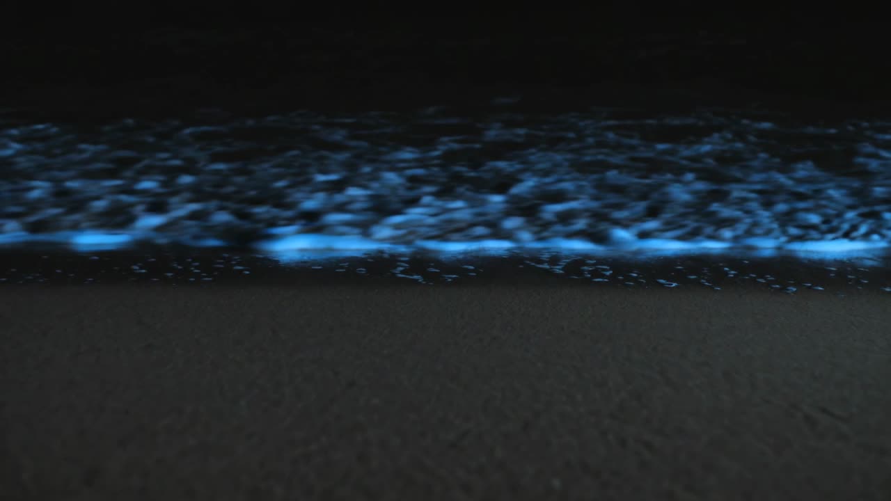 Bioluminescent surf advancing after swell, breaking with glowing foam on dark sand for oceanography