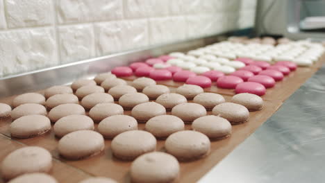 colorful macarons on a baking sheet