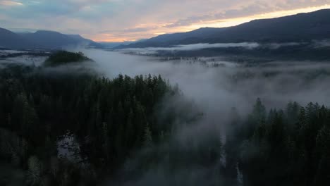 aerial view of secluded scenic river and foggy trees at sunrise