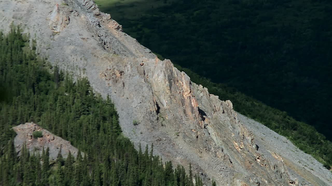 Rocky Outcrop and Steep Cliffs Rising from Conifer Forest in Denali national park, Alaska