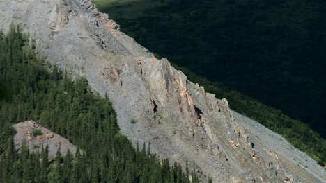 rocky outcrop and steep cliffs rising from conifer forest in denali national park, alaska
