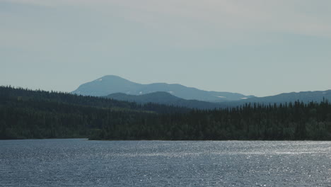 beautiful lake reflecting sunbeams surrounded by coniferous forest in sunny day