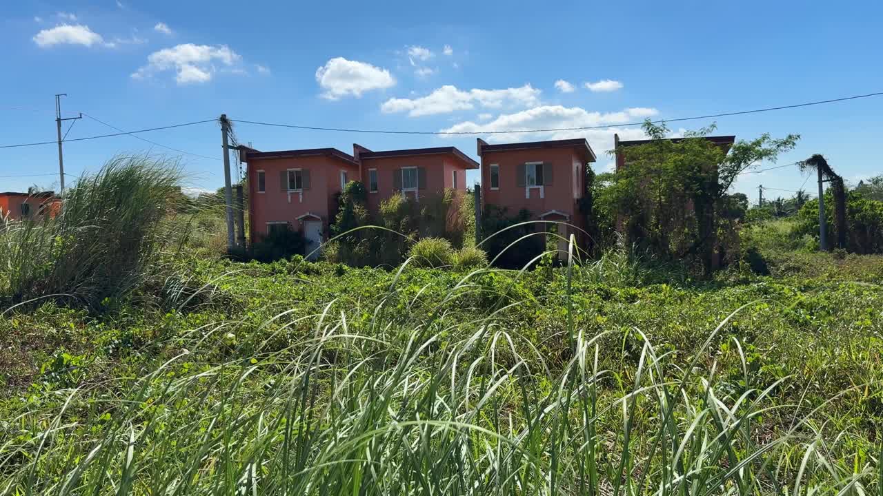 Vista a livello del suolo che mostra case abbandonate in fila, circondate da alta erba selvatica e fitta vegetazione incolta