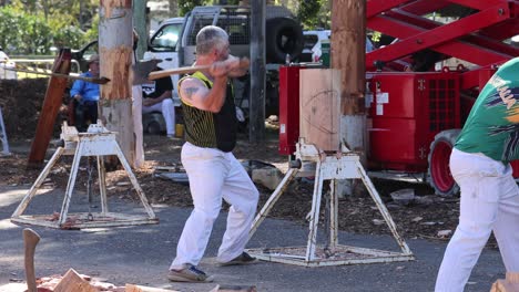 participants compete in wood chopping at a sunny outdoor venue