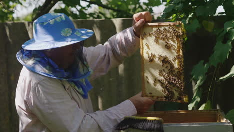 Imker-Inspiziert-Rahmen-Mit-Bienen-Arbeitet-Im-Bienenhaus-4k-Video