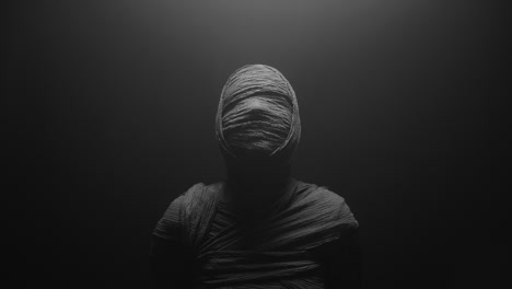 a mummy of a woman on a dark backdrop turns her head