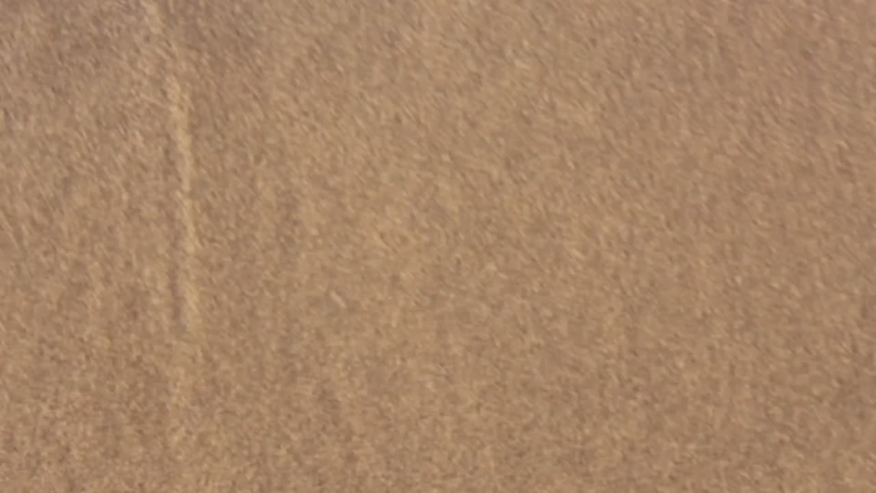 Close-up of soothing waves gently lapping onto the sandy beach at Indiana Dunes. Bright sunlight casts a warm glow, creating a peaceful, tranquil atmosphere. Perfect for relaxation scenes