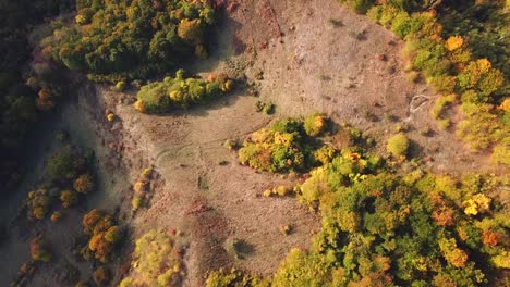 Aerial-shot,-top-view,-of-a-colorful-autumn-mountain-forest