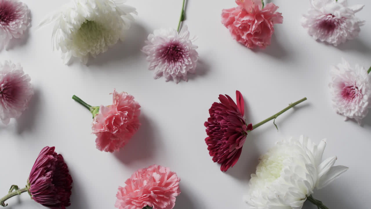 video de flores blancas, rojas y rosas y copia espacio en fondo blanco