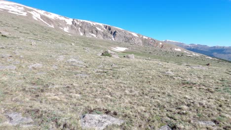 Toma-Panorámica-Del-Terreno-Subalpino-De-Mt-Rosalie