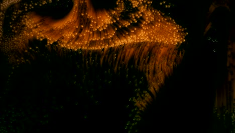 abstract smoky particles
