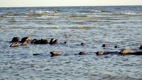 rocas y olas en la playa de lapmezciems en el golfo de riga, letonia, europa
