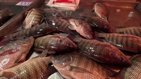 assorted fish on ice for sale