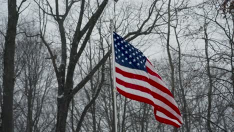 looking up at the flag blowing in the winter wind