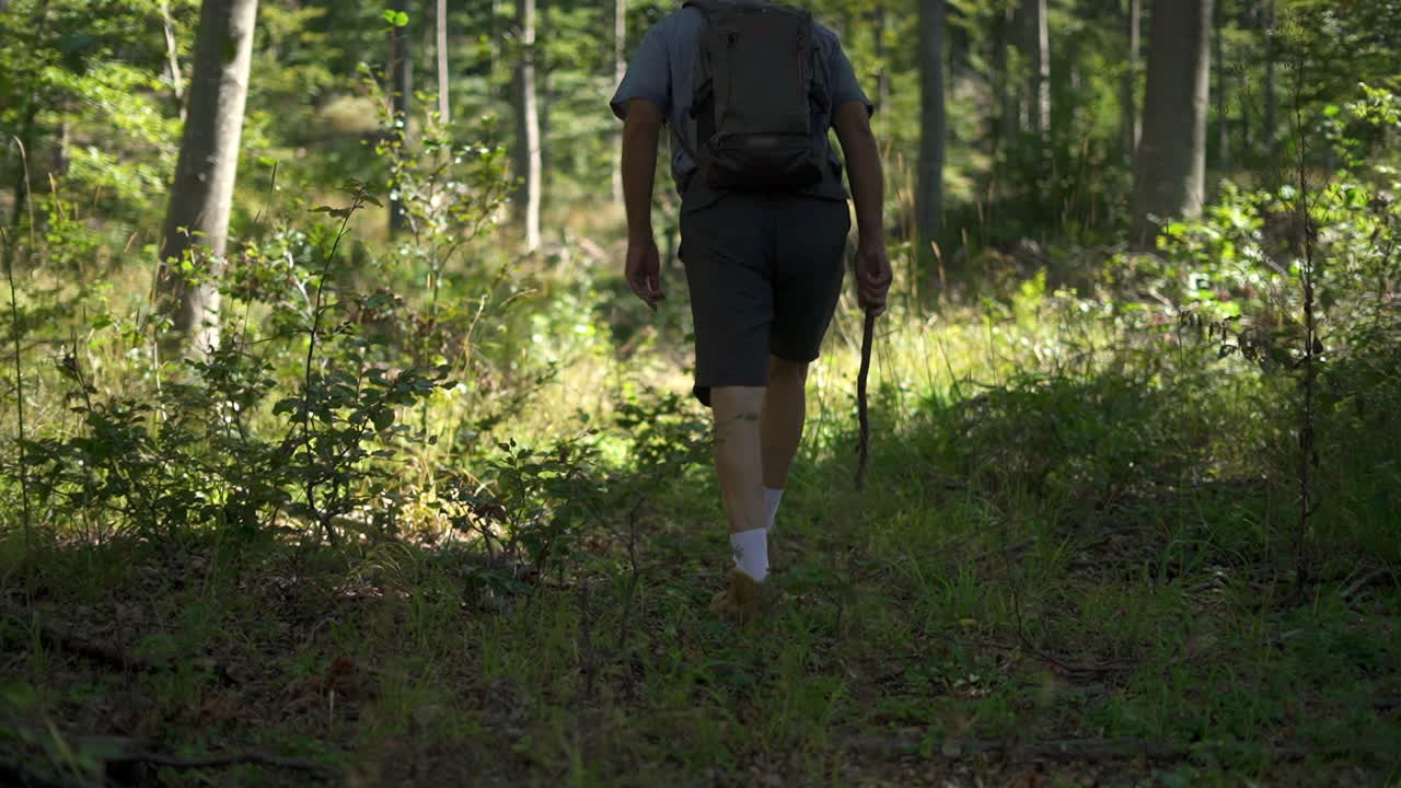 숲에서 하이킹하는 남자