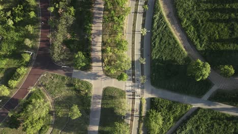 Vista-Aérea-De-Pájaros-De-Personas-Caminando-En-La-Calle-En-El-Jardín-De-Hierba-De-Seúl,-Corea-Del-Sur