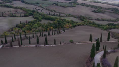 Cipreses-A-Lo-Largo-De-Un-Pintoresco-Camino-Agrícola-Que-Sube-Una-Colina-Con-Una-Antigua-Finca,-Toscana,-Antena