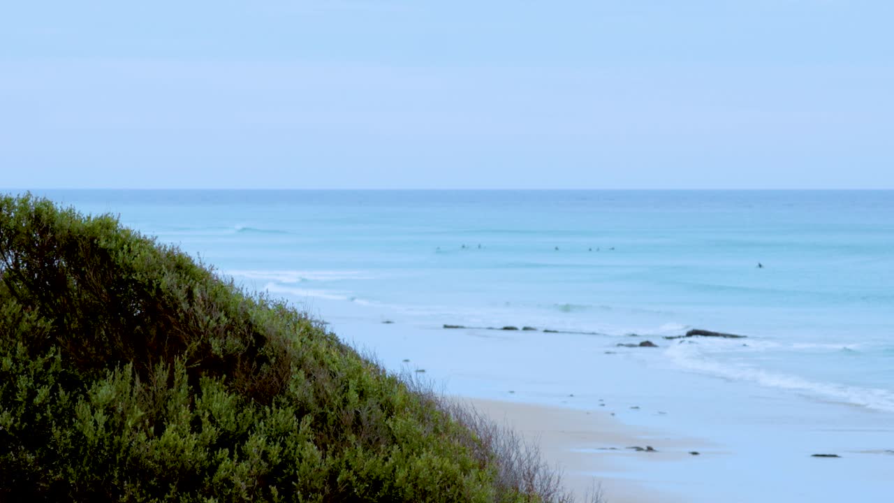 A tranquil coastal scene featuring gentle waves, lush greenery, and a calm ocean under soft lighting