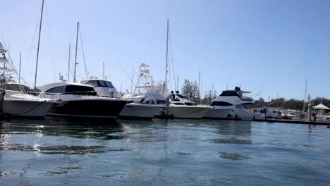 yachts and boats docked in gold coast harbour